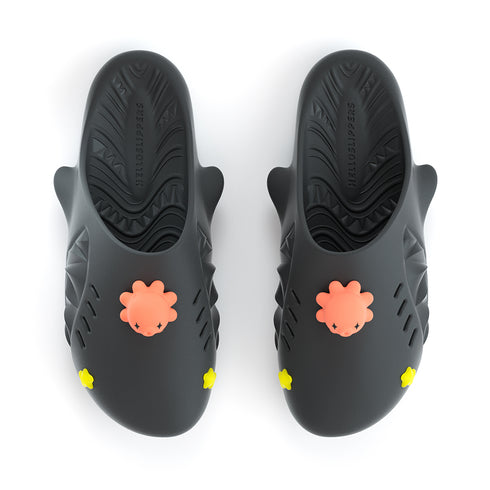 Sharkicks Pro Mule - Pulpo