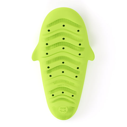 Sharkicks Pro - Nube de Champiñón