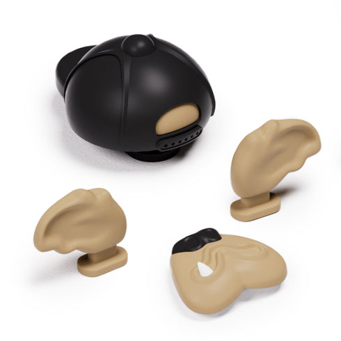 Benny el Bulldog Accesorios para Animore