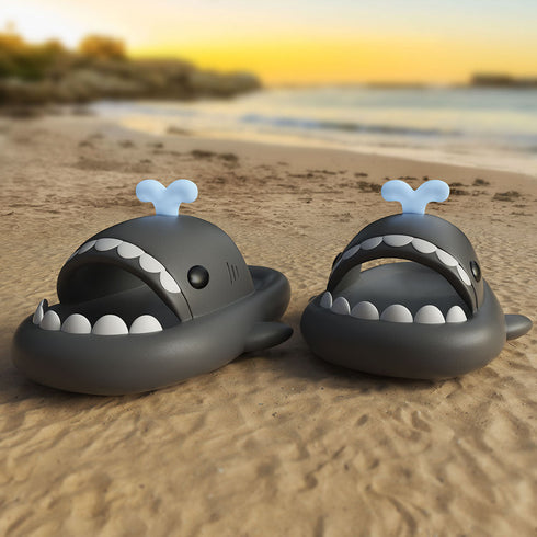 Sharkicks Basic - Ballena