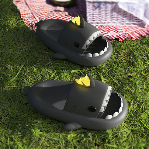 Sharkicks Basic - Dragón Koi